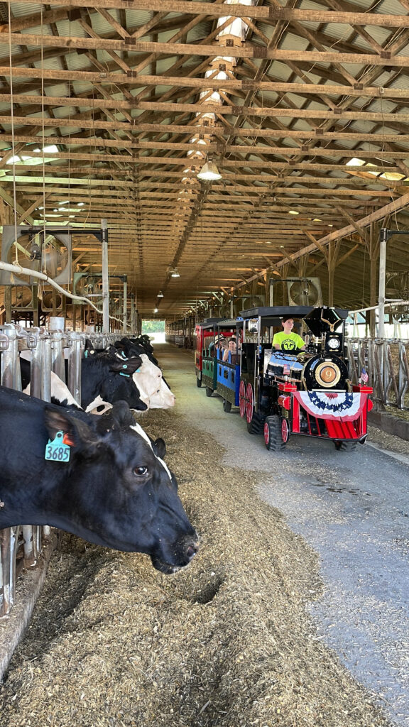 Barnyard Express In Barn